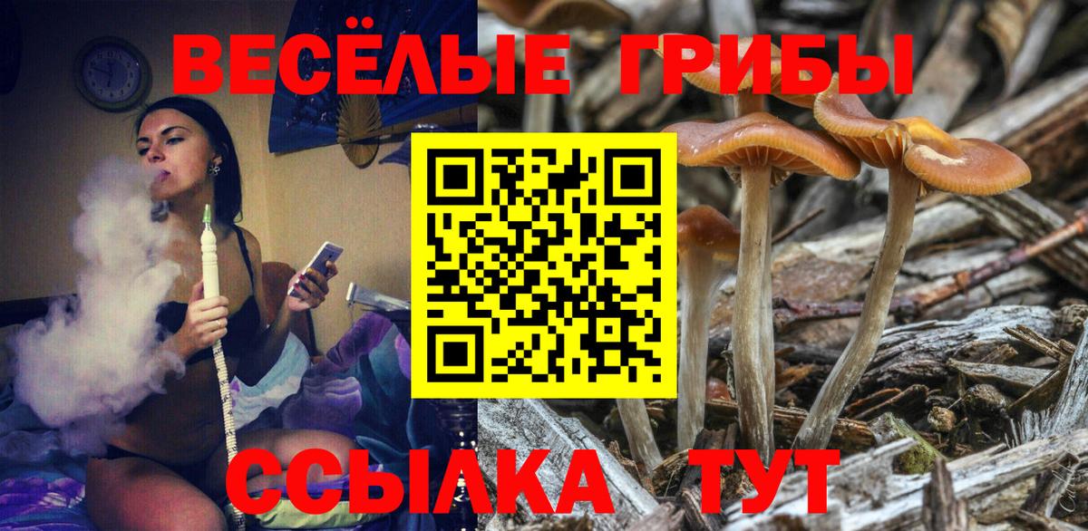 Галлюциногенные грибы MAGIC MUSHROOMS Кондопога