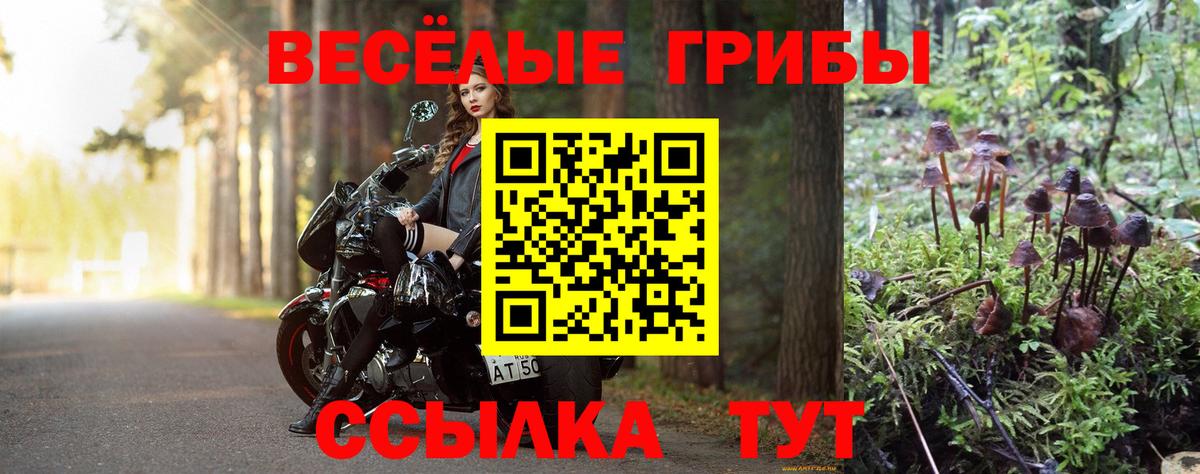 Кондопога  Галлюциногенные грибы Cubensis  Вход с VPN 